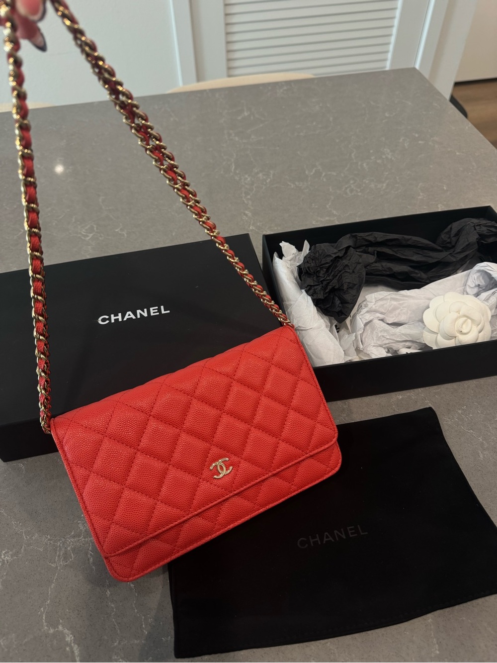 Chanel WOC